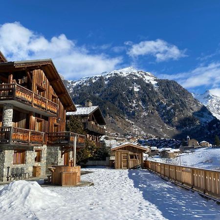 Chalet Des Trappeurs Coeur Vanoise 15 Persons La Plagne Eksteriør billede