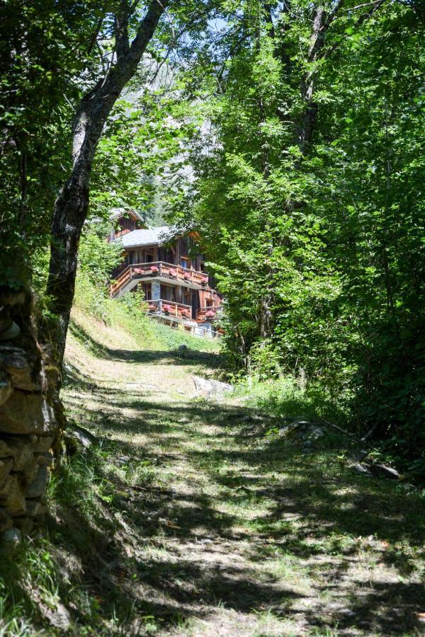 Chalet Des Trappeurs Coeur Vanoise 15 Persons La Plagne Eksteriør billede
