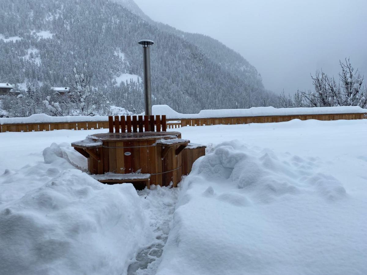 Chalet Des Trappeurs Coeur Vanoise 15 Persons La Plagne Eksteriør billede