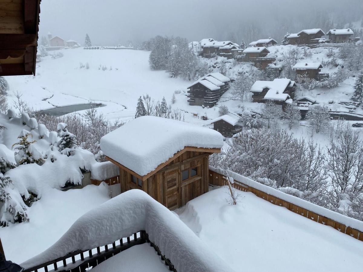 Chalet Des Trappeurs Coeur Vanoise 15 Persons La Plagne Eksteriør billede